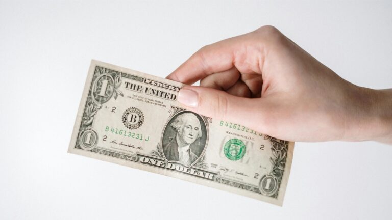 What Should You Know About The Aluminum Foil Container Machine Price Before Investing